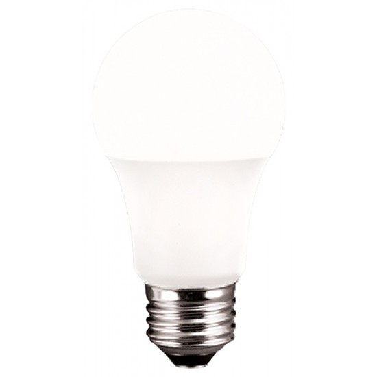 A19 - 6w LED Lamp