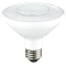 PAR30 Short Neck LED Lamps