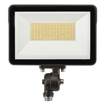 LED Flood Light CCT Selectable - Pro Range