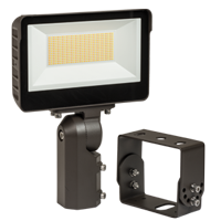 LED Flood Light CCT Selectable - Pro Range