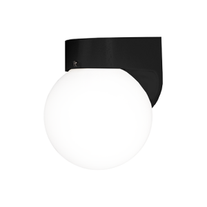 Outdoor Opal Globe Wall Light