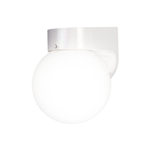 Outdoor Opal Globe Wall Light