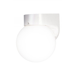 Outdoor Opal Globe Wall Light