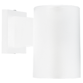 Outdoor Dark Sky and Turtle Safe Wall Light